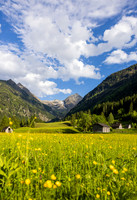 THEMENBILD, Frühling in den Bergen, Alm