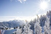 THEMENBILD, Winter-Tourismus, Ski alpin, Skifahren