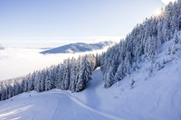 THEMENBILD, Winter-Tourismus, Ski alpin, Skifahren