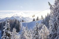 THEMENBILD, Winter-Tourismus, Ski alpin, Skifahren