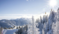 THEMENBILD, Winter-Tourismus, Ski alpin, Skifahren