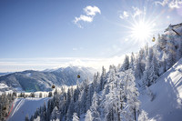THEMENBILD, Winter-Tourismus, Ski alpin, Skifahren