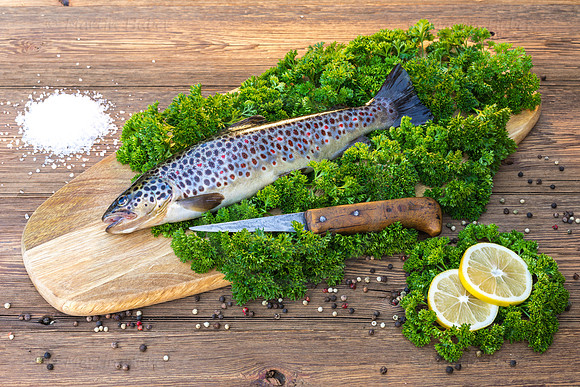 Food-Fotografie, Bachforelle