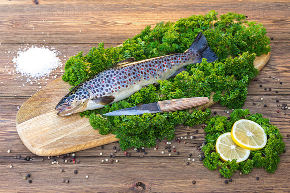 Food-Fotografie, Bachforelle