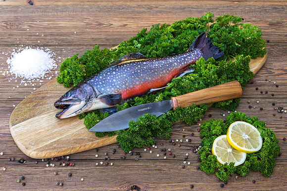 Food-Fotografie, Bachsaibling