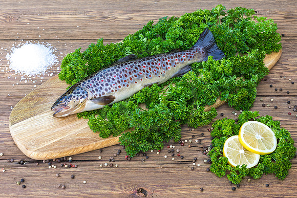 Food-Fotografie, Bachforelle