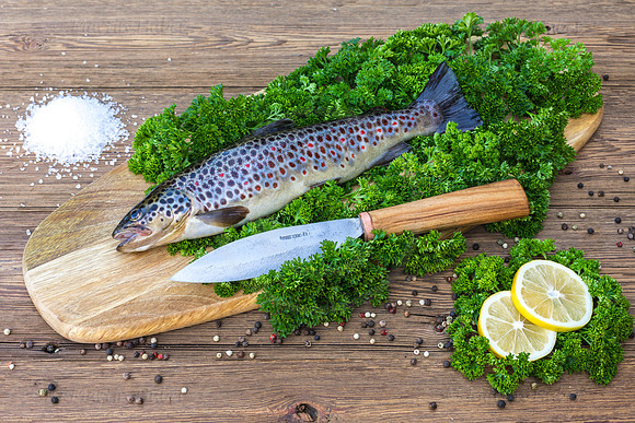 Food-Fotografie, Bachforelle