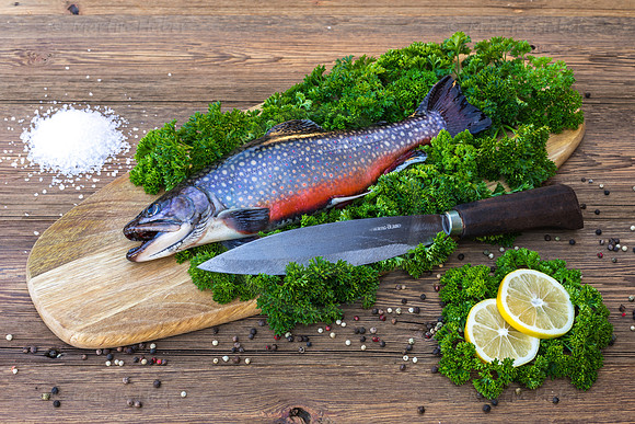 Food-Fotografie, Bachsaibling