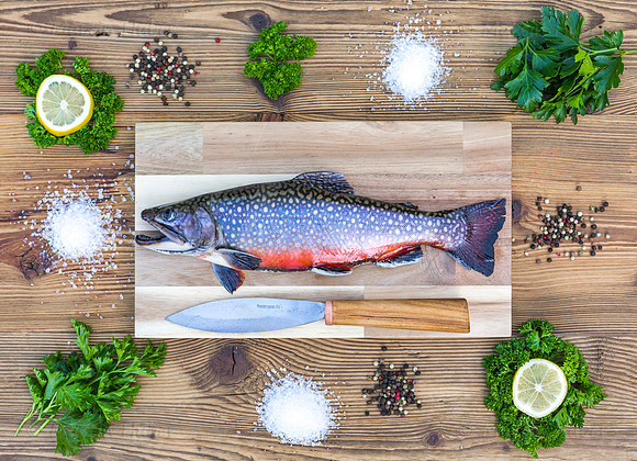 Food-Fotografie, Bachsaibling