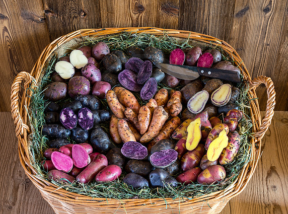Food-Fotografie, Erdäpfel, buntfleischige und alte Sorten