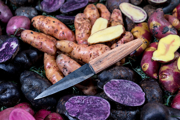 Food-Fotografie, Erdäpfel, buntfleischige und alte Sorten
