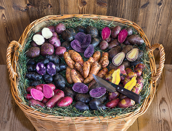 Food-Fotografie, Erdäpfel, buntfleischige und alte Sorten
