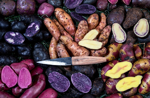 Food-Fotografie, Erdäpfel, buntfleischige und alte Sorten