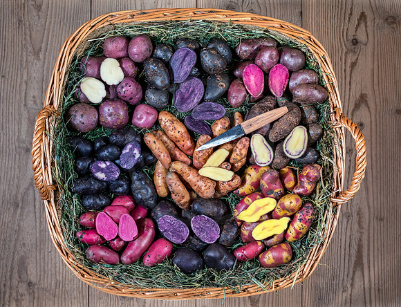 Food-Fotografie, Erdäpfel, buntfleischige und alte Sorten