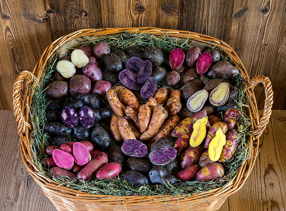 Food-Fotografie, Erdäpfel, buntfleischige und alte Sorten