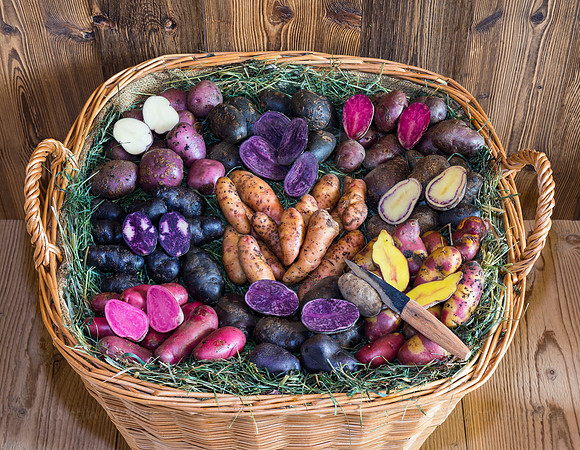 Food-Fotografie, Erdäpfel, buntfleischige und alte Sorten