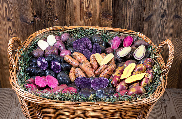 Food-Fotografie, Erdäpfel, buntfleischige und alte Sorten