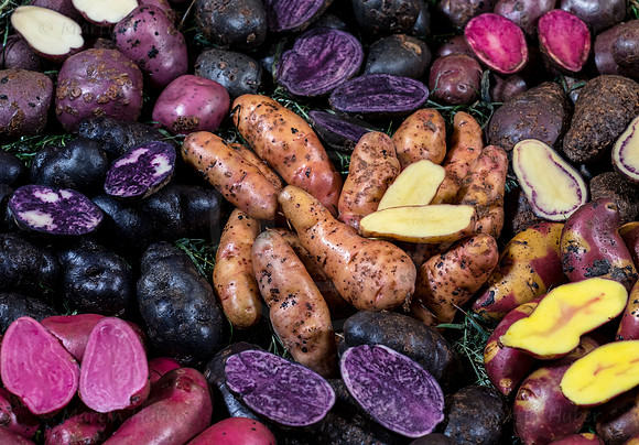 Food-Fotografie, Erdäpfel, buntfleischige und alte Sorten