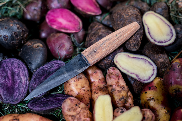 Food-Fotografie, Erdäpfel, buntfleischige und alte Sorten