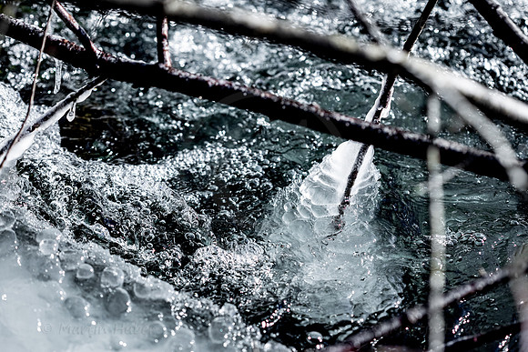 THEMENBILD, Winter, Kälte, Frost