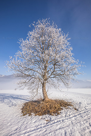 THEMENBILD, Winter in Österreich, Lungau