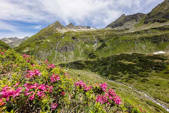 Wandern, Almrauschblüte