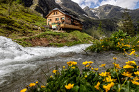 Gollinghütte und Steinriesenbach