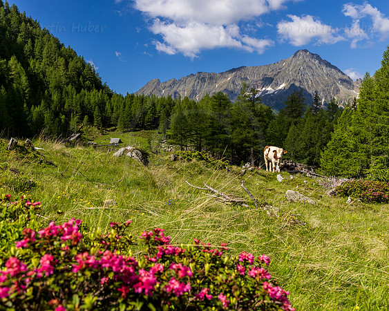 Lungau, Obere Bacheralm