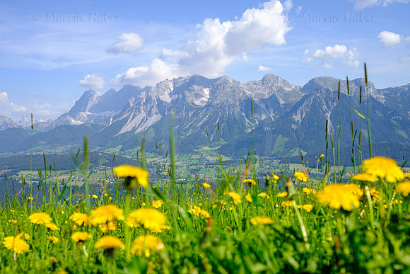 Schladming, Wandern, WM-Pfad Planai