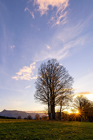 THEMENBILD, Sonnenuntergang im Spätherbst
