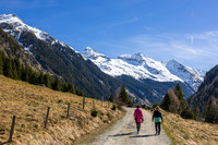 THEMENBILD, früher Frühling in den Bergen