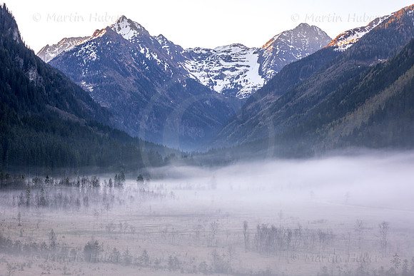 Morgennebel im Tettermoor