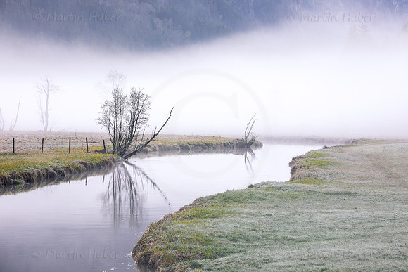 Morgennebel im Tettermoor