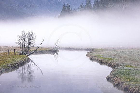 Morgennebel im Tettermoor