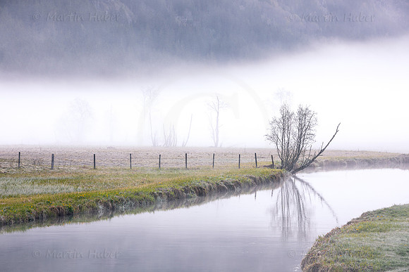 Morgennebel im Tettermoor