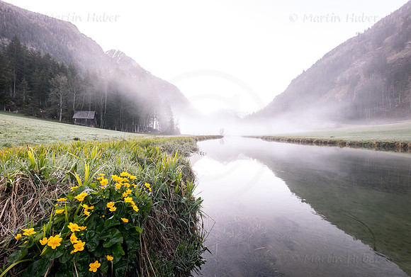 Morgennebel im Tettermoor