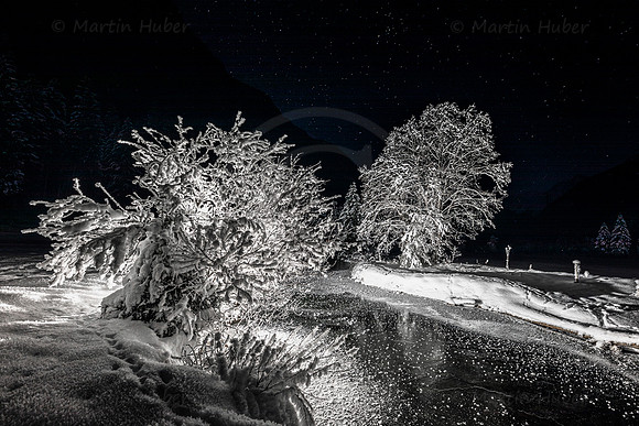 THEMENBILD, Winter, Kälte, Frost