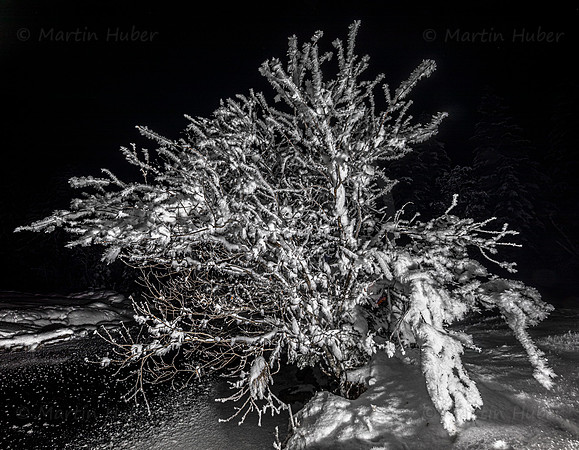 THEMENBILD, Winter, Kälte, Frost