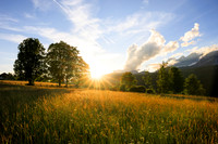 THEMENBILD, Sommer in Österreichs Bergen