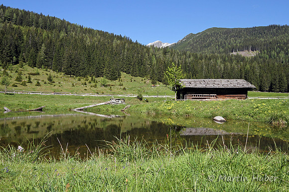Hütte und Teich nahe der Fallhausalm