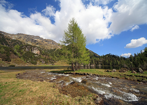 Der Landauersee mit Zufluss (Giglachbach)