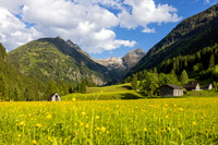 THEMENBILD, Frühling in den Bergen, Alm