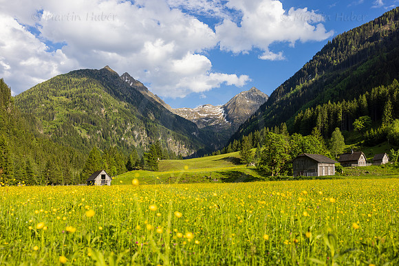 THEMENBILD, Frühling in den Bergen, Alm