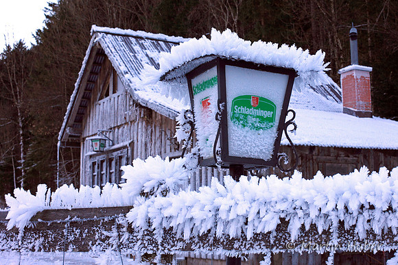 Raureif bei der Zaimhütte
