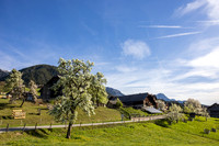 THEMENBILD, Frühling in den Bergen