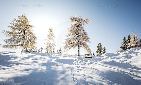THEMENBILD, Wetter, Neuschnee im November