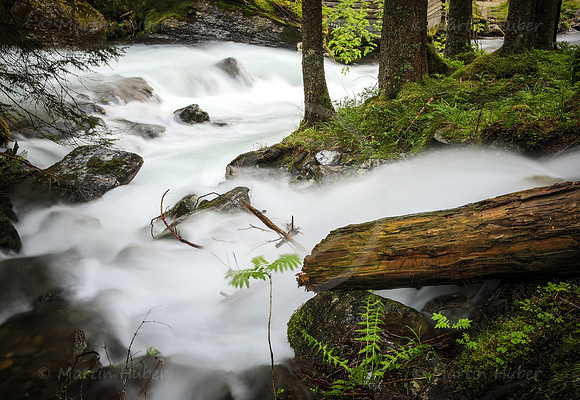 Schneewasser im Riesachbach