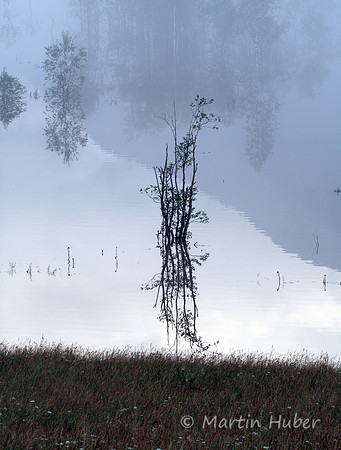 Der Tettersee - Überflutung des Tettermoores am 29.06.2009