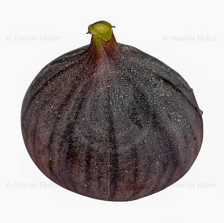 Frucht, frische Feige