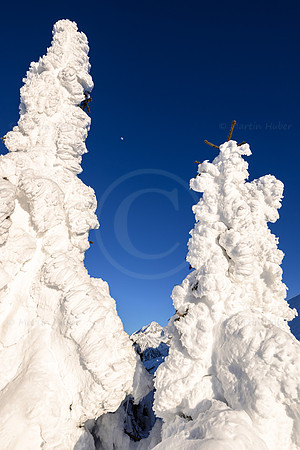 THEMENBILD, Winter, Kälte, Frost